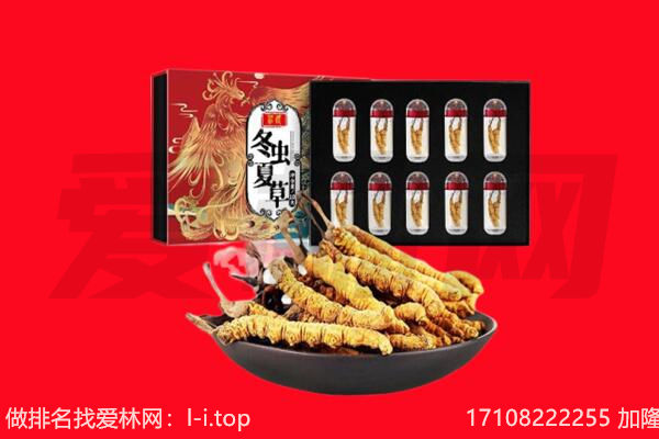 乐亭县回收虫草.jpg